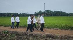 Kementan Siapkan Rp650 Miliar untuk Pengembangan Food Estate Tahun 2023