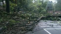 Pemkot Bandung Beri Santunan dan Jamin Asuransi bagi Korban Pohon Tumbang di Tamansari<