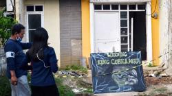 12 Ekor Anak Ular Kobra Ditemukan di Rumah Kosong Bekasi