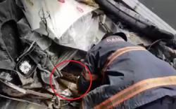 Evakuasi Piton Terjebak di Tumpukan Onderdil Mobil, Tangan Petugas Damkar Digigit