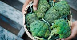 Makan Brokoli hingga Ubi Bisa Atasi Stres karena Kesepian, Ini Penjelasannya!