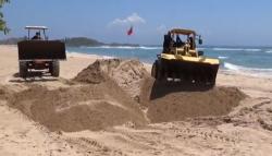 Paus Sperma yang Terdampar di Bali Akan Dikubur di Pantai