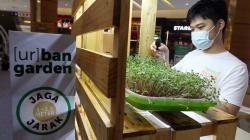 Pameran Budi Daya Tanaman Hidroponik Urban Garden