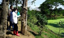 Atasi Banjir, Risma Bangun Tahura di Wilayah Surabaya Barat