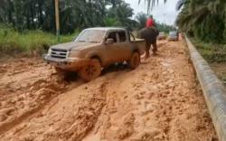 Video Viral Gajah di Riau Tarik Mobil Terjebak Lumpur
