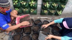 Antusiasme Warga Semarang Ikuti Pelatihan Urban Farming