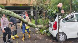 Tertimpa Pohon Tumbang di Jalan Geusan Ulun Bandung, Atap Karimun Rusak<
