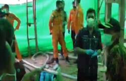 Video Pencarian Penambang Emas Tertimbun Longsor di Kalteng<