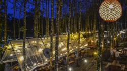 Wisata Kedai Kopi di Tengah Hutan Jati Desa Jalatrang Ciamis