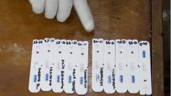 18.000 Petugas Pilkada di Bantul Rapid Test, 40 Reaktif Covid-19