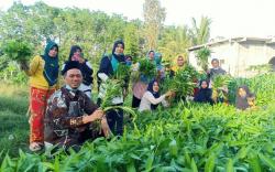 Masa Sulit, Petani Sayur di Prabumulih Harap Bantuan Pemerintah<