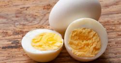 Tips Memilih Telur Berkualitas sebagai Asupan Protein selama Pandemi