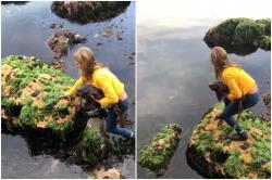 Bocah Perempuan Australia Selamatkan Hiu yang Terjebak di Karang saat Laut Surut