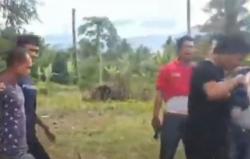 Video 3 Pemuda Ditangkap Pesta Ganja di Kebun Karet Madina, Sumut