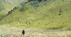 5 Sabana Terindah di Pegunungan Indonesia, Nomor 4 Sebelahan dengan Merapi