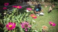 Taman Kelinci Bambu Apus Jadi Alternatif  Wisata di Jakarta Timur