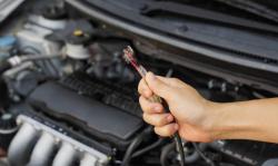 Penyebab Korsleting Listrik dan Kebakaran Mobil akibat Gigitan Tikus, Ini yang Harus Diperhatikan 