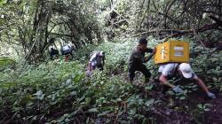 Selesai Rehabilitasi, 7 Ekor Lutung Jawa Dilepasliarkan di Gunung Biru Kota Batu