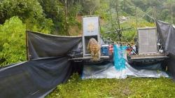 Rawan Konflik dengan Hewan, Pemkab Agam Diminta Buat Perda Satwa