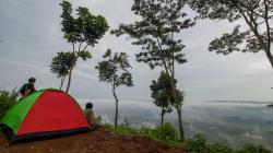 Pesona Keindahan Alam Bukit Pamoyanan Subang