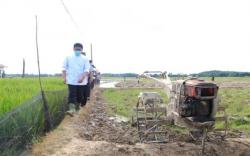 Dongkrak Produksi Pertanian, Herman Deru Resmikan Listrik Masuk Sawah<