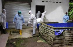 Nenek di Kulonprogo Ditemukan Tewas Membusuk 