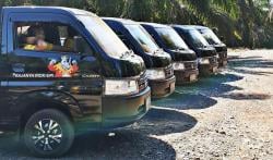 Market Share 60 Persen, Suzuki Carry Rajai Pasar Kendaraan Niaga Ringan