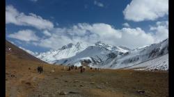 8 Nama Nama Surga dan Calon Penghuni-Penghuninya