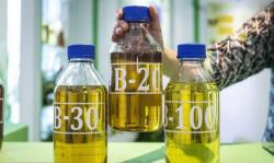 3 Pasar Utama Produk Sawit Indonesia Diproyeksi Pulih Tahun Depan