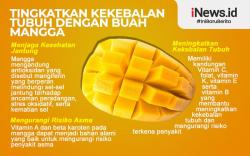 Infografis Manfaat Mangga untuk Kesehatan Tubuh