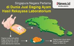 Infografis Singapura Jual Daging Ayam Bukan dari Hewan Disembelih