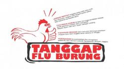 Covid-19 Belum Pergi Kini Datang Flu Burung, Ratusan Unggas di KBB Mati<