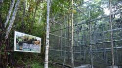 11 Monyet Hitam Sulawesi Ditranslokasi ke Pusat Rehabilitasi Yaki di Tomohon