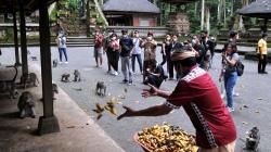 Memotret Beragam Eksotis Pulau Dewata lewat We Love Bali<
