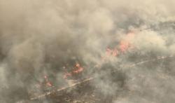 Kebakaran Hutan Ancam Permukiman Warga di Situs Warisan Dunia Pulau Fraser Australia