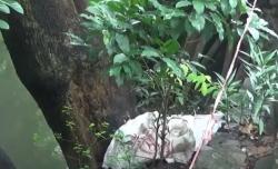 Video Warga Bekasi Dihebohkan Temuan Potongan Tubuh Diduga Korban Mutilasi