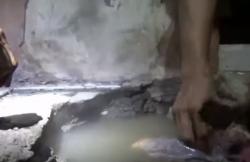 Video Lantai Rumah di Bekasi Keluarkan Air Panas Hebohkan Warga