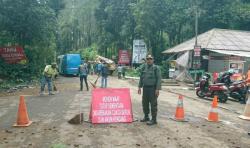 61 Pohon Tumbang, Objek Wisata di Cikole Lembang Ditutup Sementara<
