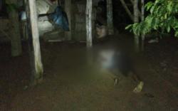 Duel Maut Dua Tetangga, Berawal dari Mengawinkan Ayam 