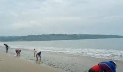 Video Fenomena Ribuan Ikan Lemuru Terdampar di Pantai Jimbaran Bali