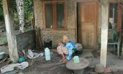 Video Viral Nenek Tua Renta Datang ke TPS di Kebumen Ikut Sukseskan Pilkada