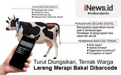 Infografis Ternak Warga Lereng Merapi Bakal Diberi Barcode