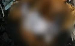 Video Ibu Bunuh Bayi Baru Lahir di Temanggung, Pelaku Malu Punya Anak