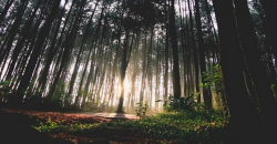 Rekomendasi Wisata Pemandian Air Panas Alami Dekat Jakarta, Cocok untuk Hilangkan Suntuk