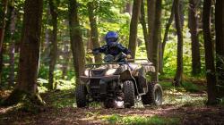 Akhir Tahun di Mana? Cek  Lido Lake Resort, Ada 