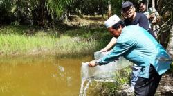 Tingkatkan Ketahanan Pangan di Masa Pandemi, Pemkab Nagan Raya Salurkan Bantuan Bibit serta Pakan Ikan 