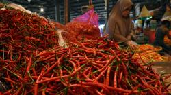 Warga di Palembang Keluhkan Harga Cabai Rp80.000 per Kilogram<