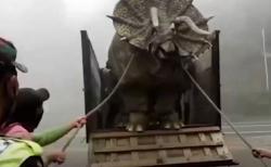 Video Viral Dinosaurus di Lereng Gunung Lawu, Ini Faktanya 