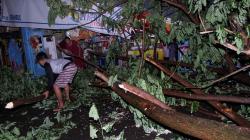 Pohon Tumbang akibat Angin Kencang Menutup Jalan Syech Yusuf Gowa