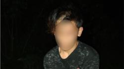 Curi 8 Ekor Babi, Pemuda di Tomohon Ditangkap Polisi saat Asyik Nongkrong di Kafe